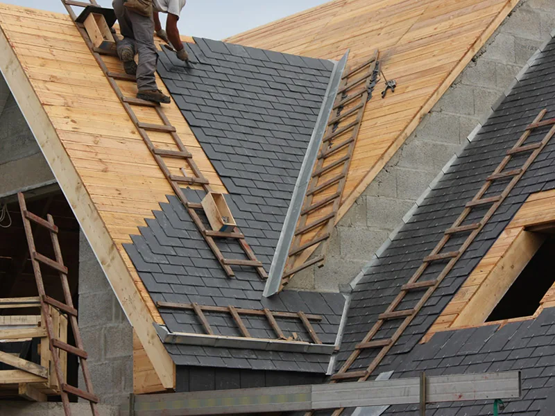 Roofer on ladder installing black asphalt shingles on wooden roof frame with metal gutters.